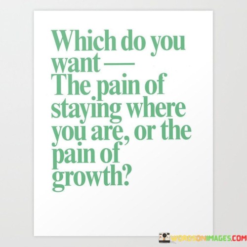 Which Do You Want The Pain Of Staying Where You Are Quotes