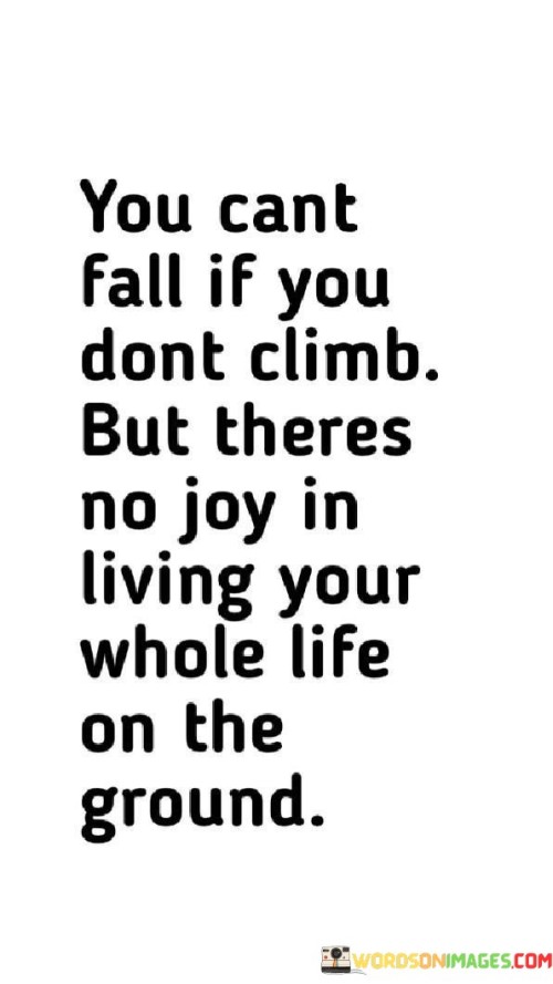 You Cant Fall If You Dont Climb But Theres No Joy Quotes