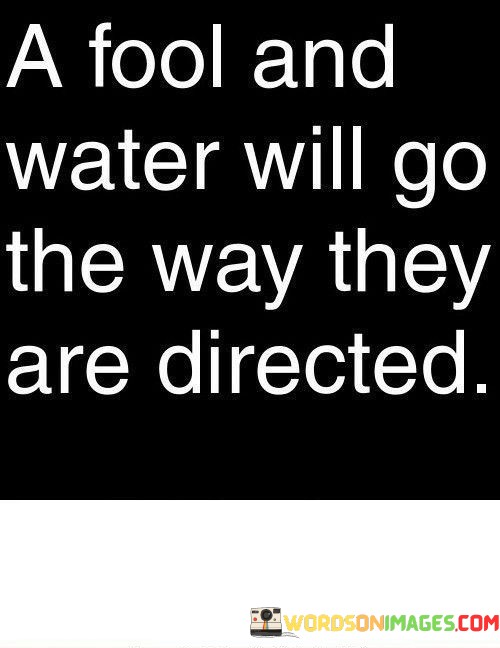 A-Fool-And-Water-Will-Go-The-Way-They-Are-Directed-Quotes.jpeg
