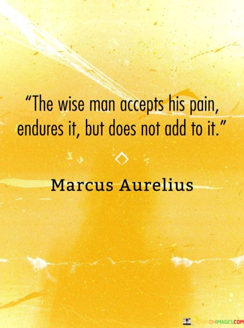 The Wise Man Accepts His Pain Endures It But Does Not Add Quotes