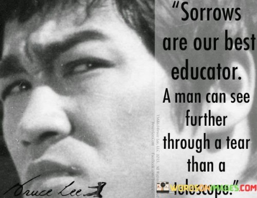 Sorrows Are Our Best Educator A Man Can See Further Quotes