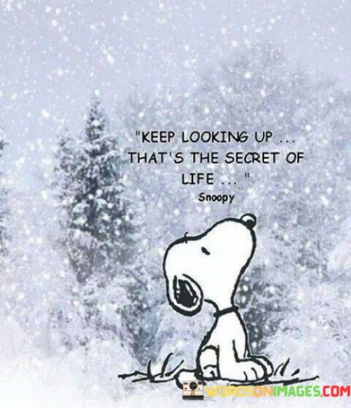 Keep Looking Up That's The Secret Of Life Quotes