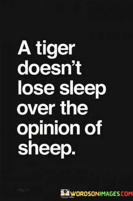 A-Tiger-Doesnt-Lose-Sleep-Over-The-Opinion-Quotes.jpeg