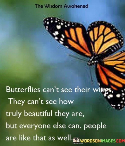 Butterflies-Cant-See-Their-Wings-They-Quotes.jpeg