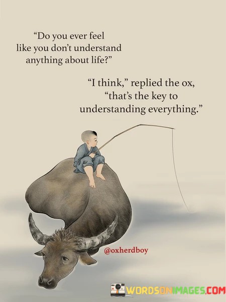 Do-You-Ever-Feel-Like-You-Dont-Understand-Quotes.jpeg