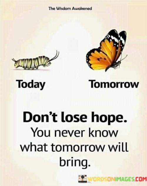 Don't Lose Hope You Never Know Quotes