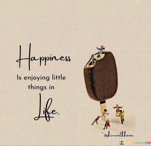 Happiness-Is-Enjoying-Little-Things-Quotes.jpeg