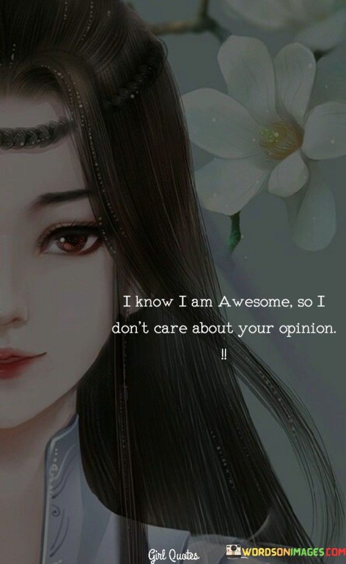 I Know I Am Awesome So I Don't Care About Your Opinion Quotes