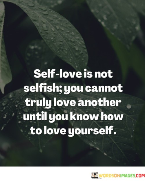 Self-Love-Is-Not-Selfish-You-Cannot-Truly-Quotes.jpeg