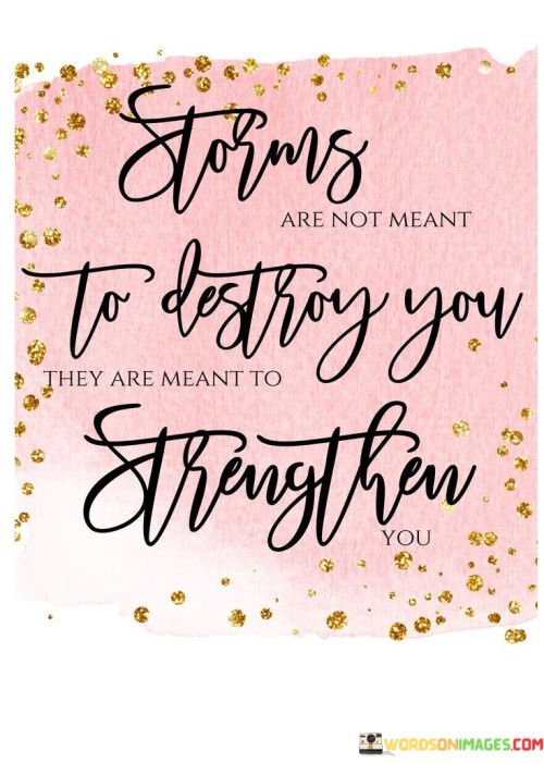 Storms Are Not Meant To Destroy You Quotes