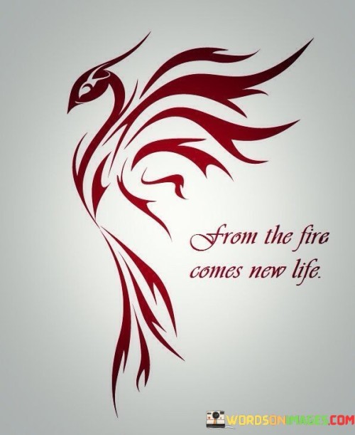 From The Fire Comes New Life Quotes