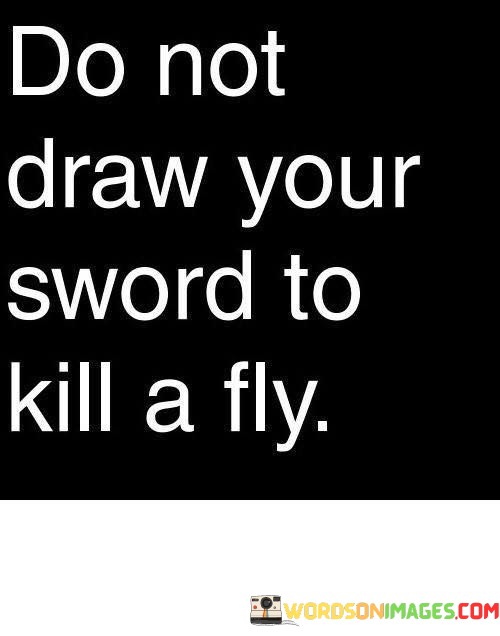 Do-Not-Draw-Your-Sword-To-Kill-A-Fly-Quotes.jpeg