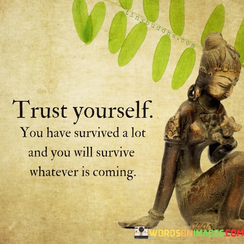 Trust-Yourself-You-Have-Survived-Quotes.jpeg