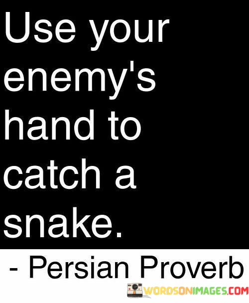 Use-Your-Enemys-Hand-To-Catch-A-Snake-Quotes.jpeg