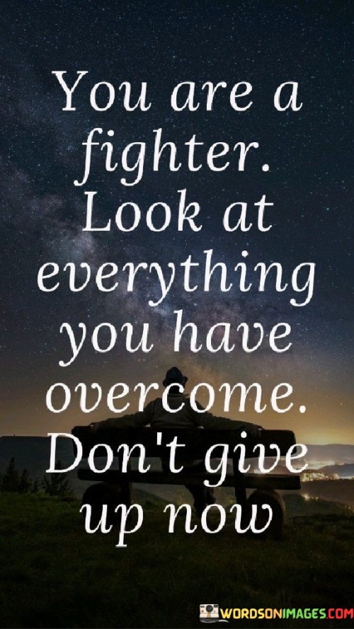 You-Are-A-Fighter-Look-At-Everything-You-Have-Overcome-Dont-Quotes.jpeg