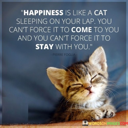 Happiness Is Like A Cat Sleeping On Your Lap You Can't Quotes