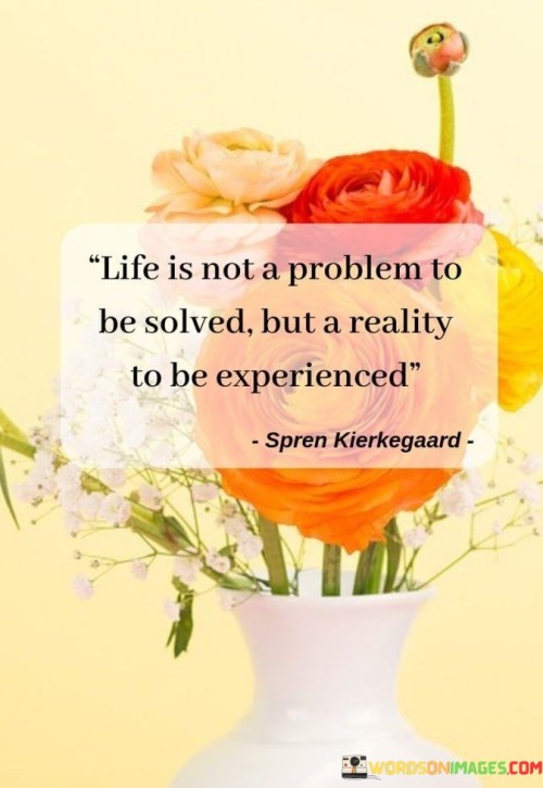 Life Is Not A Problem To Be Solved But A Reality To Be Experienced Quotes