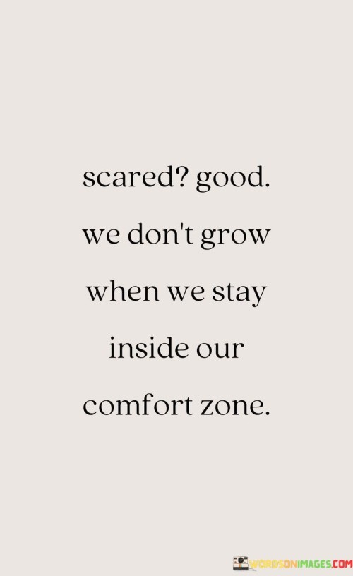 Scared-Good-We-Dont-Grow-When-We-Stay-Inside-Our-Comfort-Zone-Quotes.jpeg