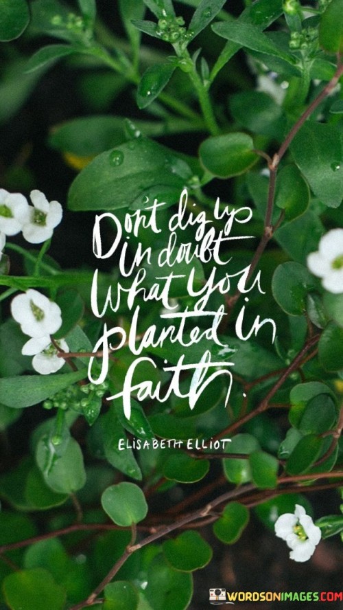 Don't Dig Up In Doubt What You Planted In Faith Quotes