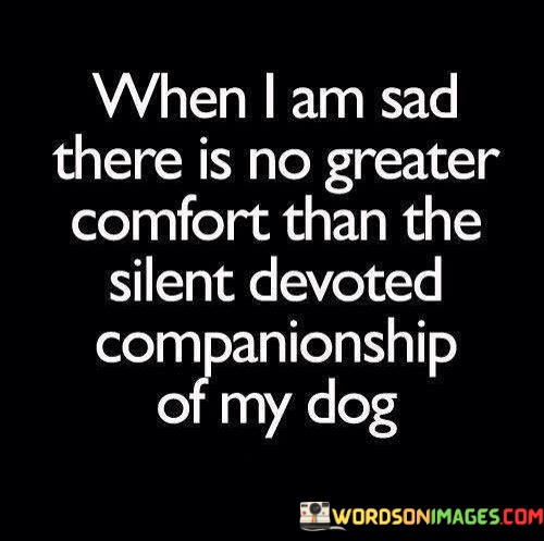 The quote highlights the solace found in the company of a loyal pet, particularly a dog. "When I am sad" indicates vulnerability. "Silent devoted companionship of my dog" signifies unwavering support. The quote emphasizes the unique bond between humans and their canine companions during times of emotional distress.

The quote underscores the power of non-verbal connection. It illustrates the profound comfort that can be derived from the presence of a dog, who offers silent understanding and unwavering loyalty. "Silent devoted companionship" reflects the mutual emotional connection between the person and their dog.

In essence, the quote speaks to the therapeutic value of the human-animal bond. It emphasizes the emotional support and solace that a dog can provide, especially during times of sadness. The quote underscores the significance of this special relationship in promoting emotional well-being and offering a sense of comfort and companionship.