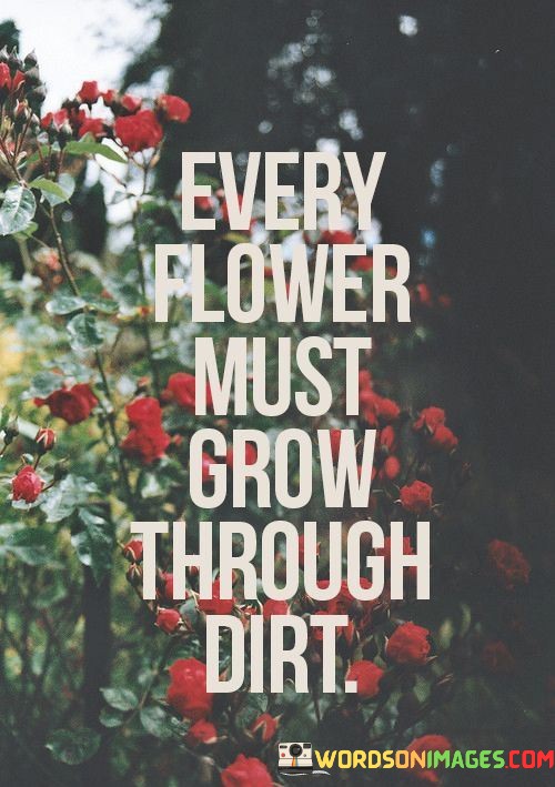 Every-Flower-Must-Grow-Through-Dirt-Quotes.jpeg