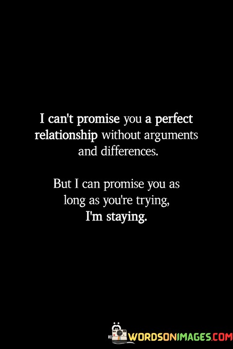 I-Cant-Promise-You-A-Perfect-Relationship-Quotes.jpeg