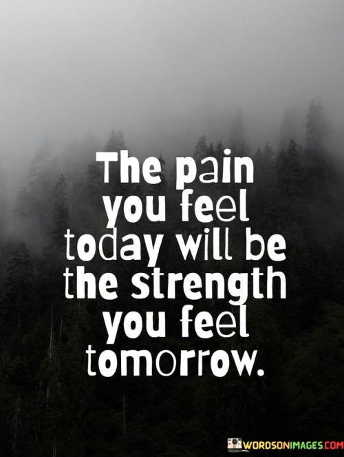 The Pain You Feel Today Eill Be Quotes
