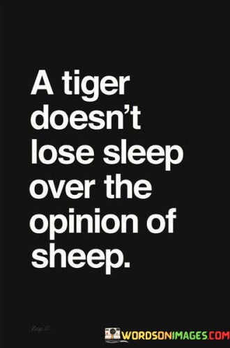 A-Tiger-Doesnt-Lose-Sleep-Over-The-Opinion-Of-Sheep-Quotes.jpeg