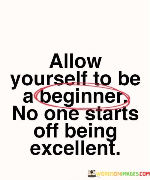 Allow-Yourself-To-Be-A-Beginner-No-One-Starts-Off-Being-Excellent-Quotes.jpeg