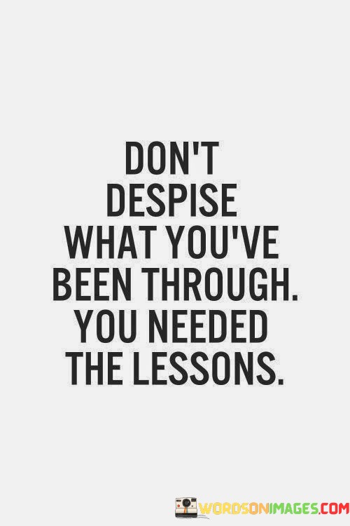 Dont-Despise-What-Youve-Been-Through-You-Needed-The-Lessons-Quotes.jpeg