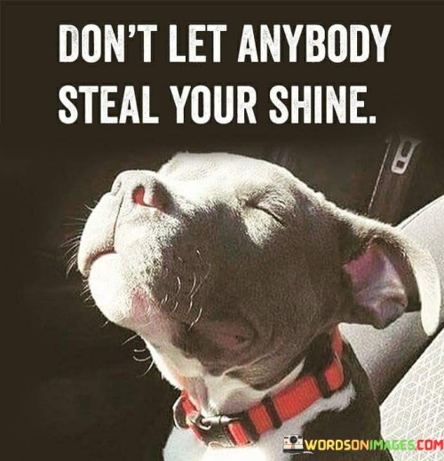 Don't Let Anybody Steal Your Shine Quotes