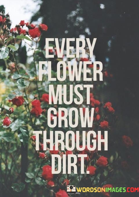 Every-Flower-Must-Grow-Through-Dirt-Quotes.jpeg
