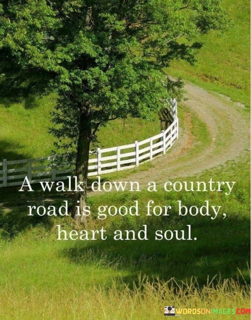 A Walk Down A Country Road Is Good For Body Quotes