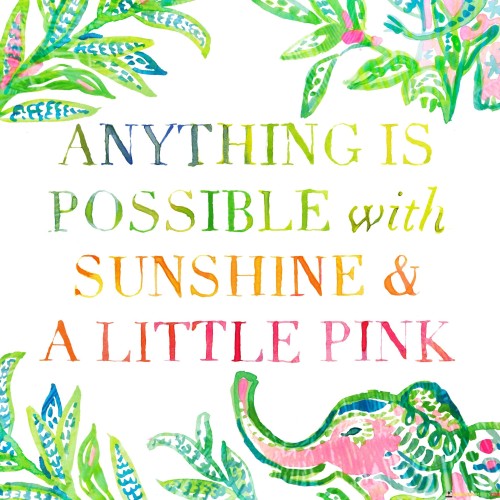 Anything Is Possible With Sunshine And A Little Pink Quotes