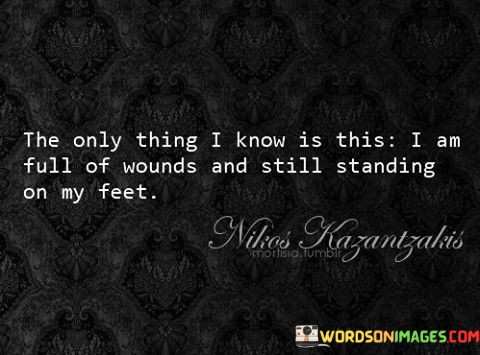 The-Only-Thing-I-Know-Is-This-I-Am-Full-Of-Wounds-And-Quotes.jpeg