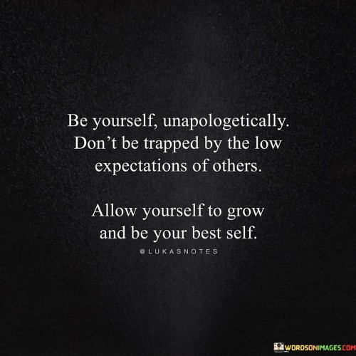 Be-Yourself-Unapologetically-Dont-Be-Trapped-By-The-Low-Expectations-Of-Others-Quotes.jpeg