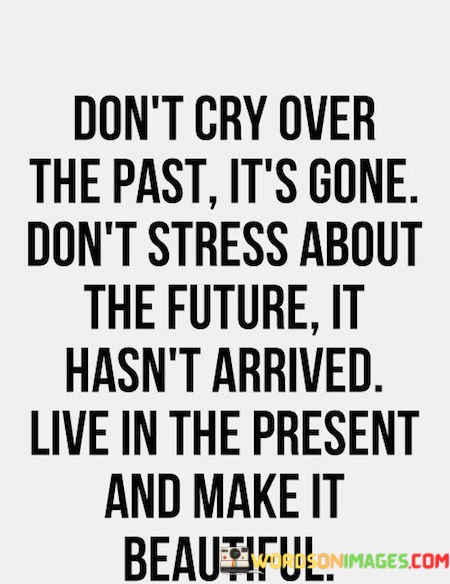 Dont-Cry-Over-The-Past-Its-Gone-Dont-Stress-About-The-Future-It-Hasnt-Arrived-Quotes.jpeg