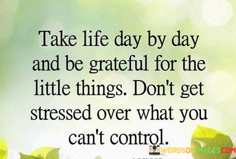 Take-Life-Day-By-Day-And-Be-Grateful-For-The-Little-Things-Quotes.jpeg