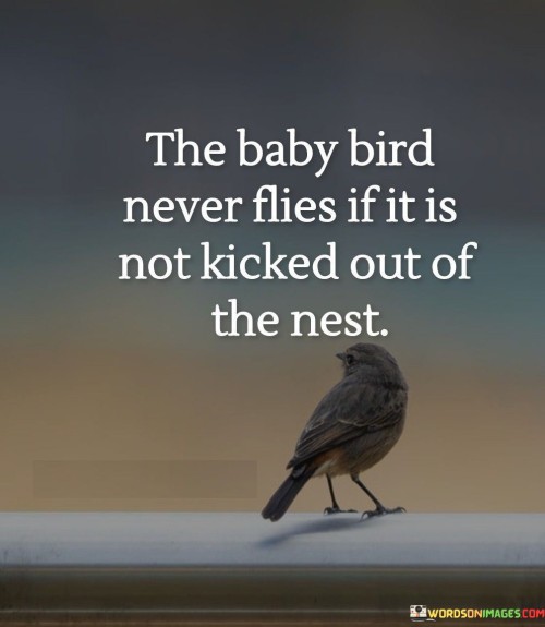 The-Baby-Bird-Never-Flies-If-It-Is-Not-Kicked-Out-Quotes.jpeg