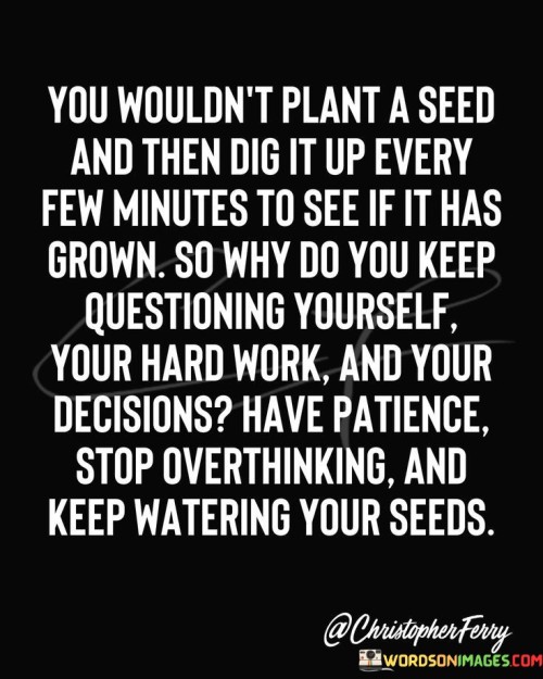 You-Wouldnt-Plant-A-Seed-And-Then-Dig-Quotes.jpeg