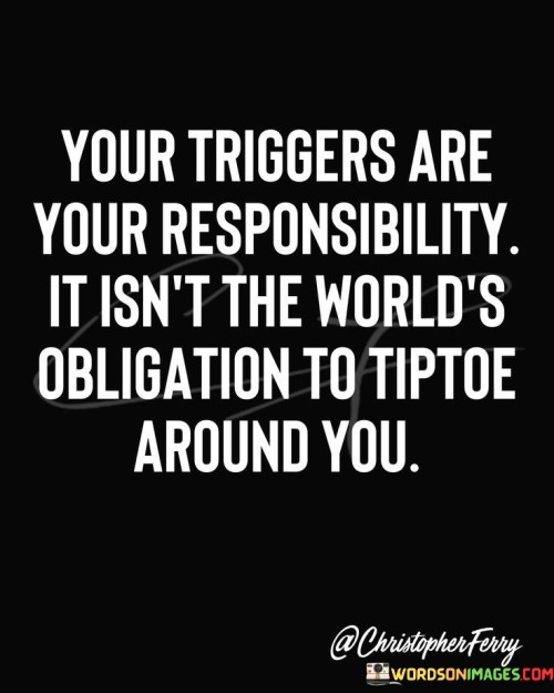 Your Triggers Are Your Responsibility It Isn't Quotes