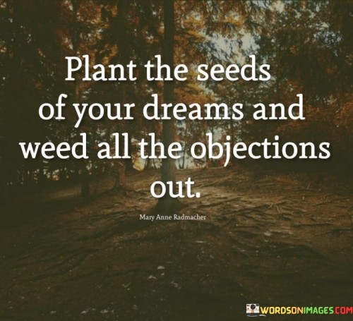 Plant-The-Seeds-Of-Your-Dreams-And-Weed-Quotes.jpeg