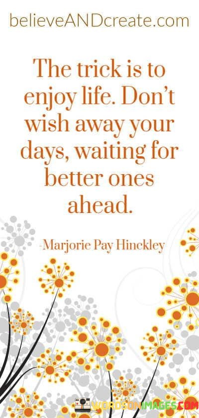 The-Trick-Is-To-Enjoy-Life-Dont-Wish-Away-Your-Days-Waiting-For-Better-Ones-Ahead-Quotes.jpeg