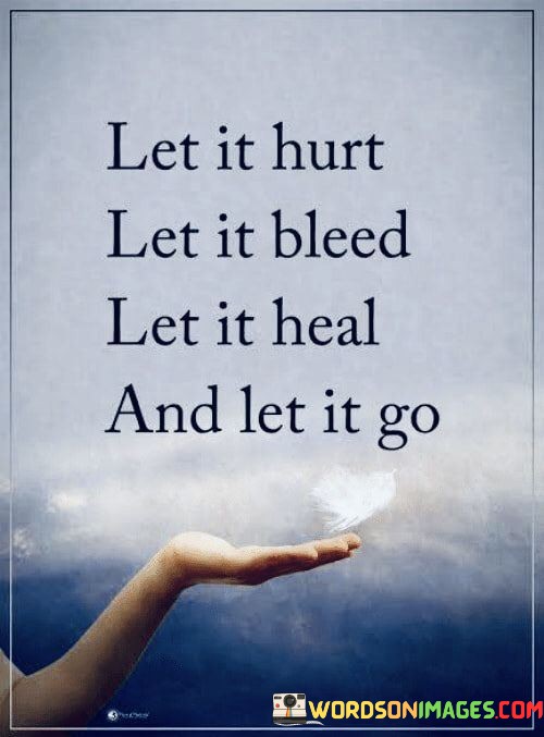 Let-It-Hurt-Let-It-Bleed-Let-It-Heal-And-Let-It-Go-Quotes.jpeg