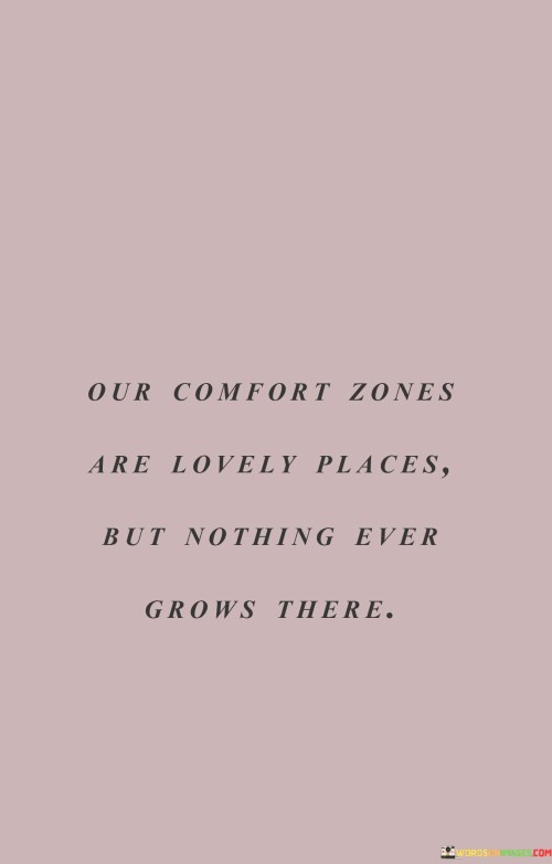 Our Comfort Zones Are Lovely Places But Nothing Ever Grows Quotes