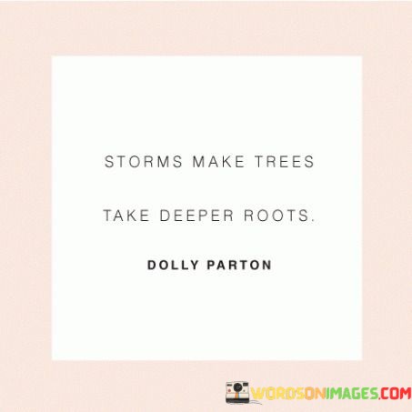 Storms-Make-Trees-Take-Deeper-Roots-Quotes.jpeg