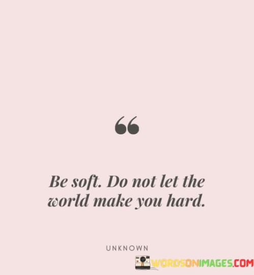 Be Soft Do Not Let The World Make You Hard Quotes