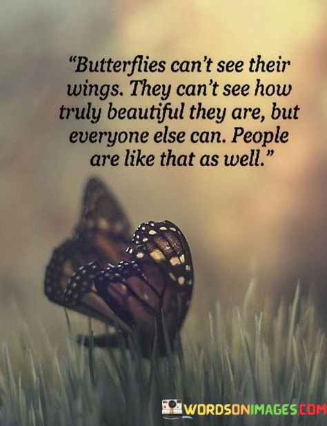 Butterflies-Cant-See-Their-Wings-Quotes.jpeg