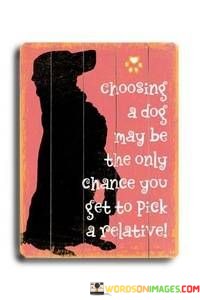 Choosing-A-Dog-May-Be-The-Only-Chance-You-Get-Quotes.jpeg