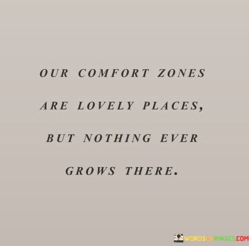 Our-Comfort-Zones-Are-Lovely-Places-But-Nothing-Evert-Grows-There-Quotes.jpeg